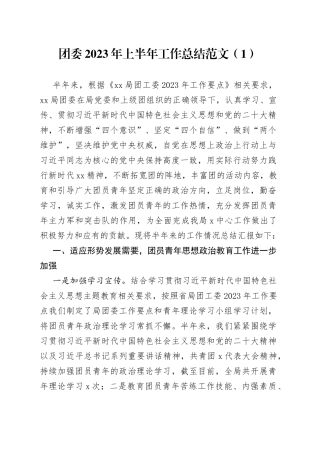 2023年上半年工作总结共青团汇报报告