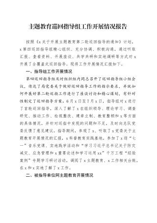 主题教育巡回指导组工作开展情况报告