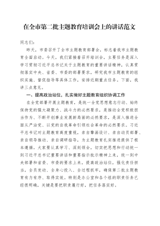 主题教育工作培训会讲话市第二批
