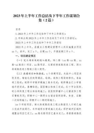 2023年上半年工作总结及下半年工作谋划合集（2篇）