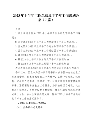 2023年上半年工作总结及下半年工作谋划合集（7篇）
