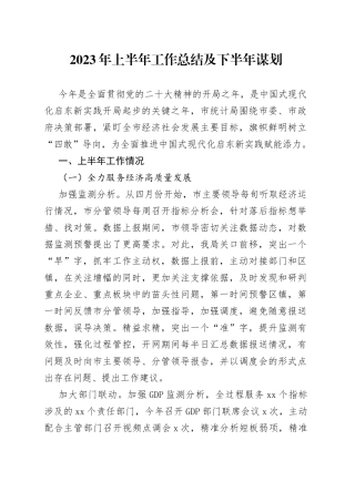 2023年上半年工作总结及下半年谋划（20230630）