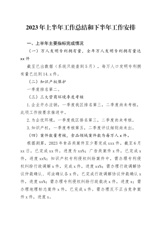 2023年上半年工作总结和下半年工作安排（20230710）