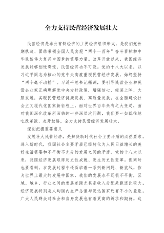 全力支持民营经济发展壮大