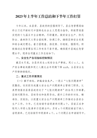 2023年上半年工作总结和下半年工作打算（20230703）
