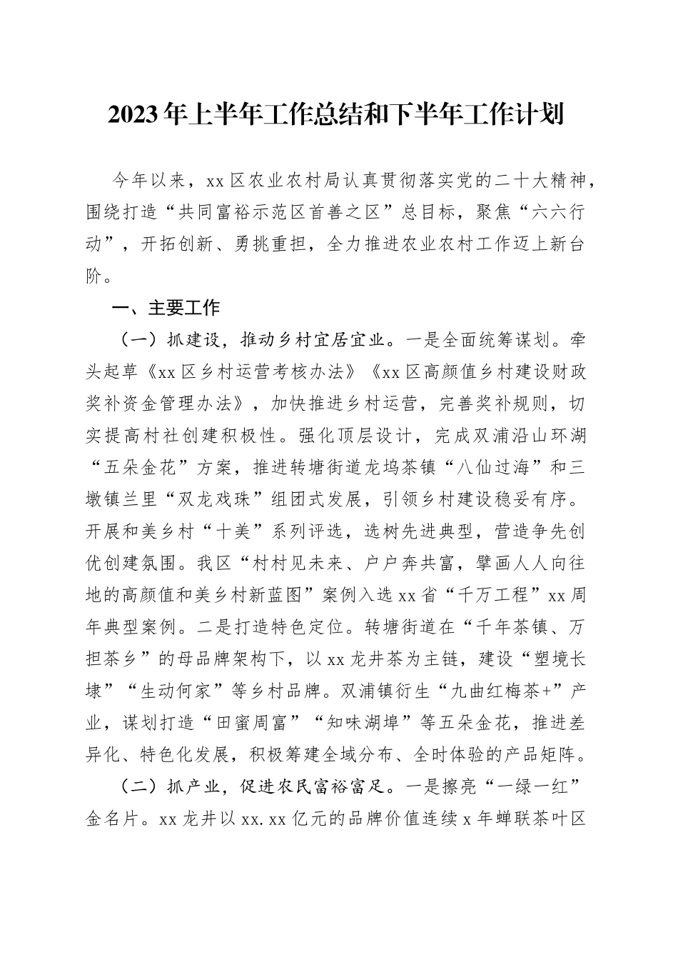 2023年上半年工作总结和下半年工作计划（20230625）_第1页