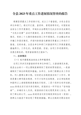 全县2023年重点工作进展情况督查的报告