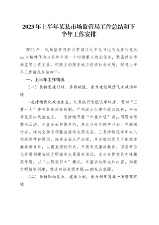 2023年上半年某县市场监管局工作总结和下半年工作安排
