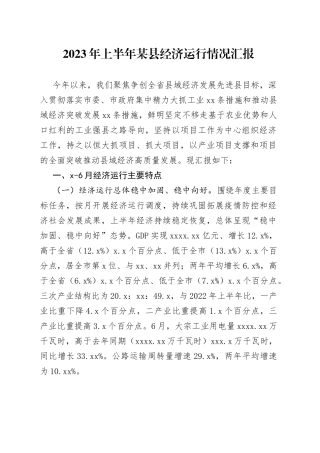 2023年上半年某县经济运行情况汇报
