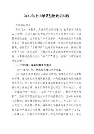 2023年上半年某县财政局财政工作情况报告