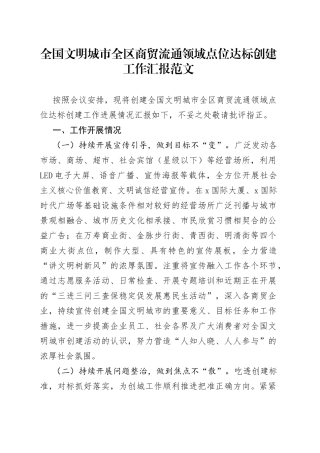 全国文明城市全区商贸流通领域点位达标创建工作汇报总结报告