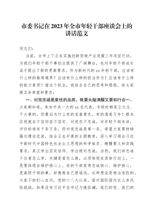 全市年轻干部座谈会讲话青年230717