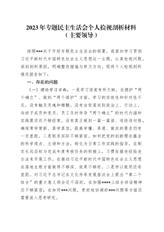 2023年专题民主生活会个人检视剖析材料（主要领导）