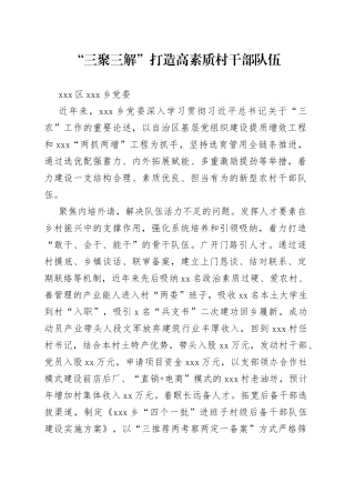 全市组织工作会议发言—xxxx区xx乡党委：“三聚三解”打造高素质村干部队伍