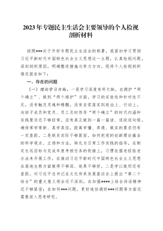 2023年专题民主生活会主要领导的个人检视剖析材料