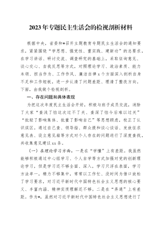 2023年专题民主生活会的检视剖析材料