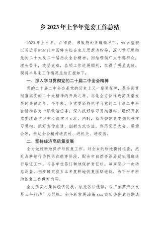 乡2023年上半年党委工作总结（20230615）