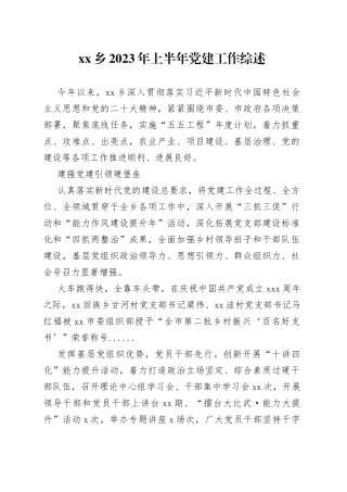 乡2023年上半年党建工作综述（20230801）