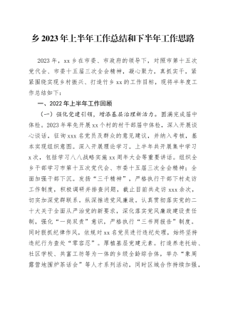 乡2023年上半年工作总结和下半年工作思路（20230702）
