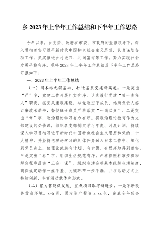 乡2023年上半年工作总结和下半年工作思路（20230703）