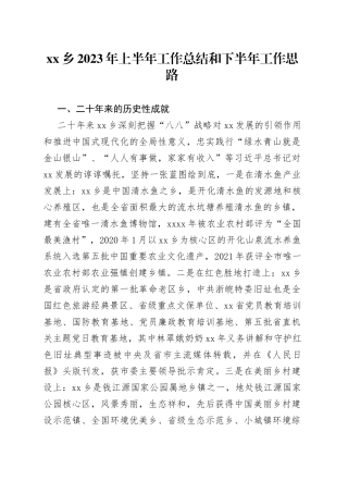 乡2023年上半年工作总结和下半年工作思路（20230822）