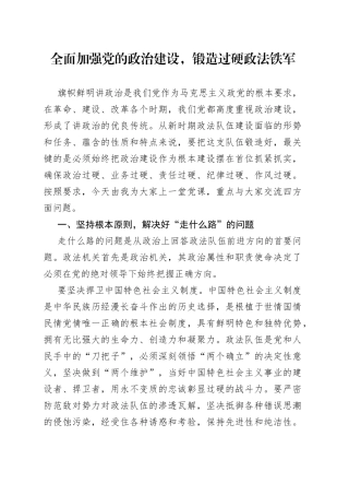 全面加强党的政治建设，锻造过硬政法铁军