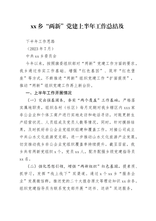 乡“两新”党建上半年工作总结及下半年工作思路