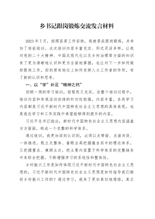 乡书记跟岗锻炼交流发言材料