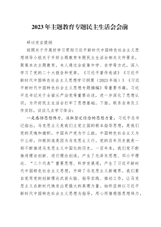 2023年主题教育专题民主生活会会前研讨发言提纲