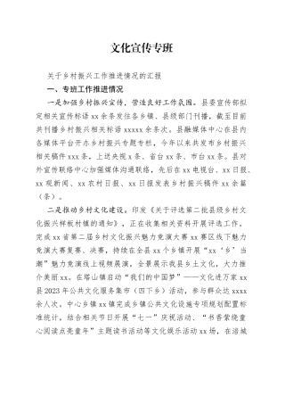 乡村振兴宣传专班汇报材料