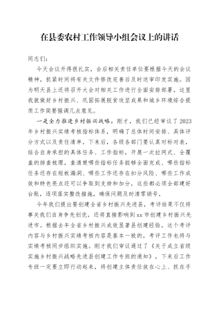 农村工作领导小组会讲话
