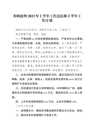 乡财政所2023年上半年工作总结和下半年工作计划（20230625）
