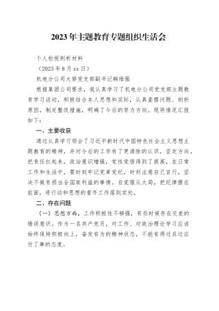 2023年主题教育专题组织生活会——党员检视剖析材料