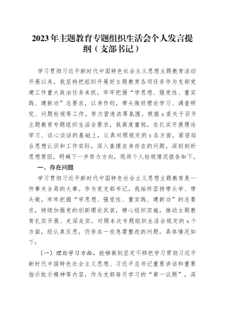 2023年主题教育专题组织生活会个人发言提纲（支部书记）