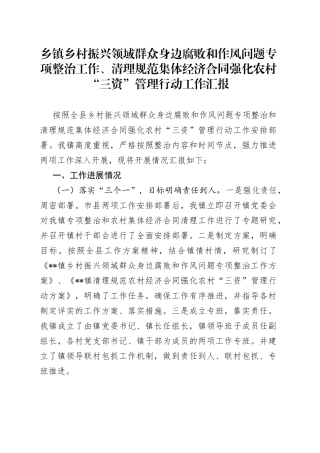 乡镇街道乡村振兴领域群众身边腐败和作风问题专项整治工作、清理规范集体经济合同强化农村“三资”管理行动工作汇报