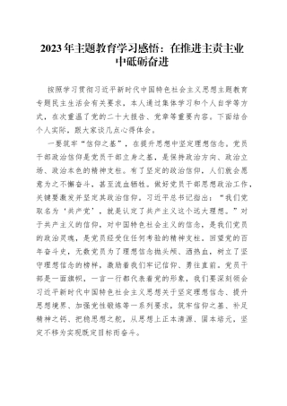 2023年主题教育学习感悟：在推进主责主业中砥砺奋进