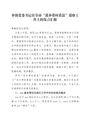 乡镇街道党委书记在全市“巡乡带村看县”巡察工作上的发言汇报(2)