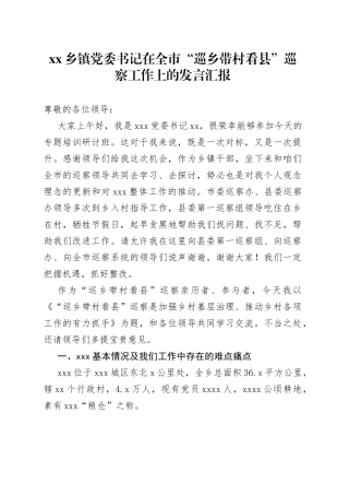 乡镇街道党委书记在全市“巡乡带村看县”巡察工作上的发言汇报