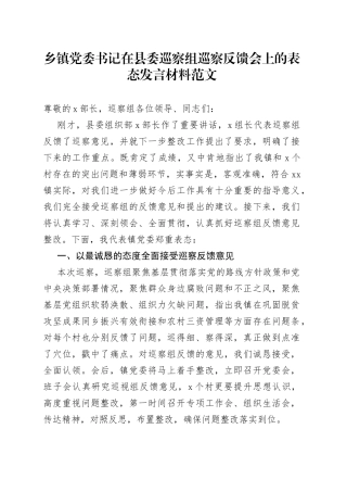 乡镇街道党委书记在巡察反馈会议上的表态发言材料