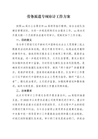 劳务派遣专项审计工作方案