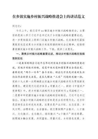 乡镇街道实施乡村振兴战略推进工作会议讲话