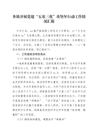 乡镇街道开展党建“五基三化”攻坚年行动工作情况汇报