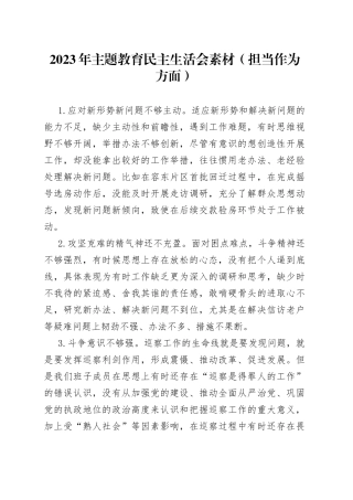 2023年主题教育民主生活会素材（担当作为方面）