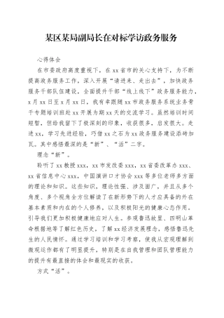 区X局副局长赴XX对标学访政务服务心得体会