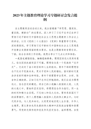 2023年主题教育理论学习专题研讨会发言提纲