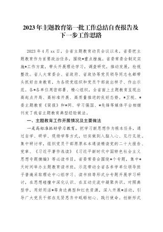 2023年主题教育第一批工作总结自查报告及下一步工作思路