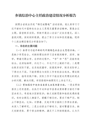 乡镇街道综治中心主任政治建设情况分析报告