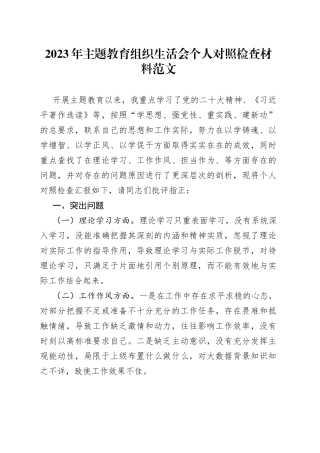 2023年主题教育组织生活会个人对照检查材料（学习、作风、担当作为、廉洁自律，检视剖析、发言提纲）