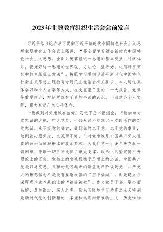 2023年主题教育组织生活会会前发言