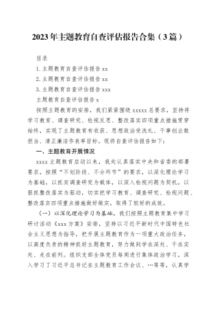 2023年主题教育自查评估报告合集（3篇）